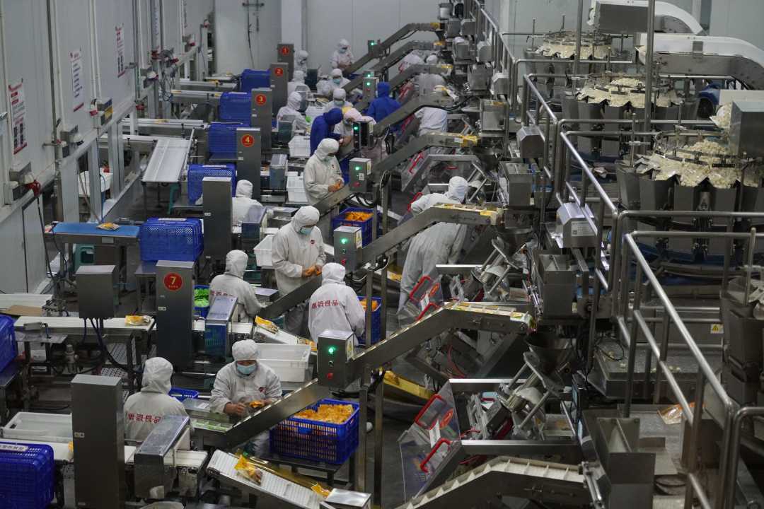 思念食品生产车间.王立坤摄