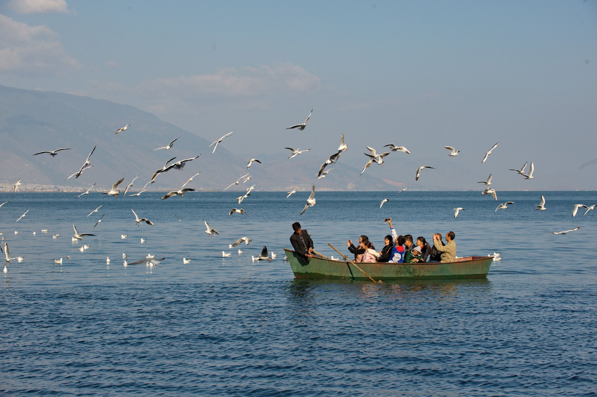 大理洱海.(夏传武摄)