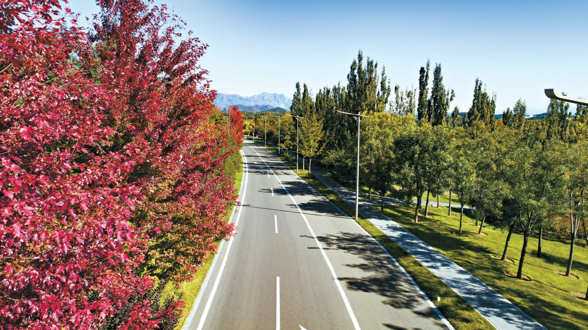 怀柔区范崎路 市园林绿化局供图