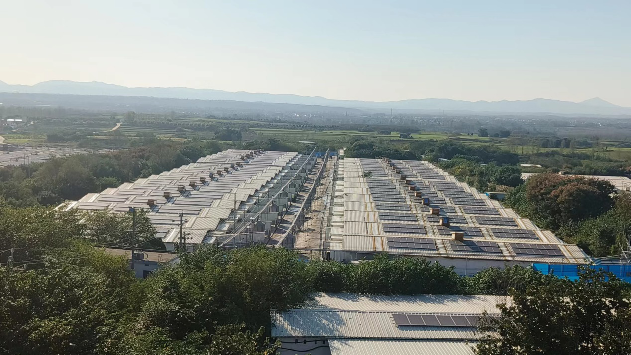 牧原股份利用猪舍屋顶发展分布式光伏发电.