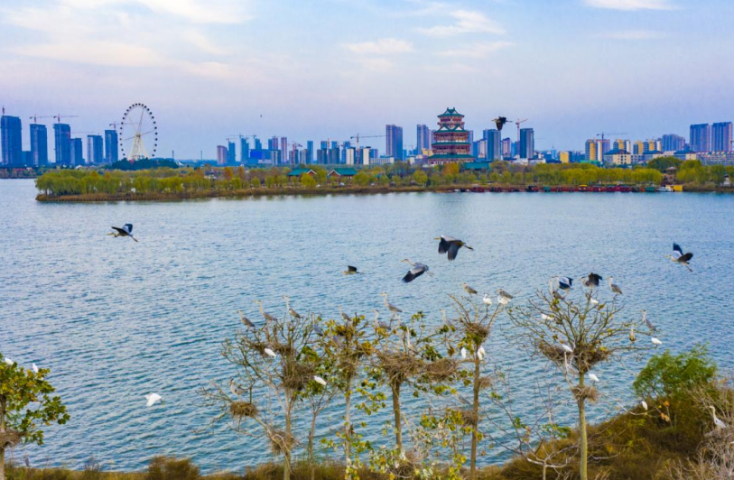 黄河滩区群众喜迁新居