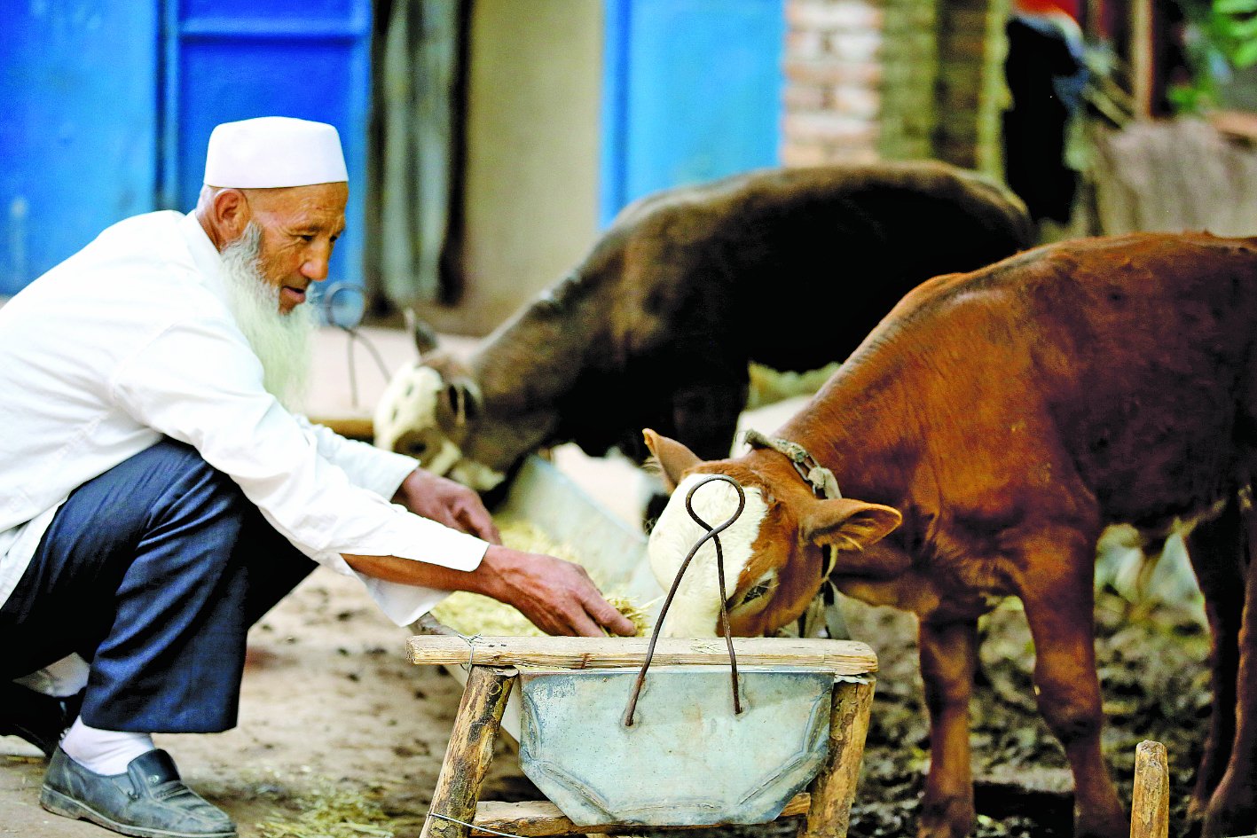 保险业的对口帮扶让青海省撒拉族人的脸上荡漾起幸福的微笑.