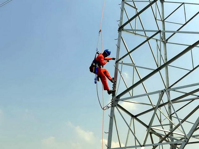 枣庄电网创新工法压降输电施工风险超九成_新浪财经_新浪网