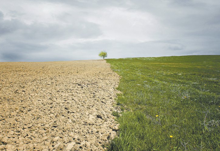 目前,阿根廷普纳微生物合成技术公司正在研究一些在恶劣自然环境中