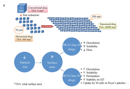 的基础,其理论依据为经典的noyes-whitney方程和ostwald-freundlich方