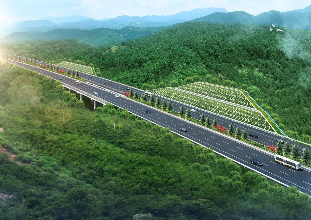 肇明高速效果图