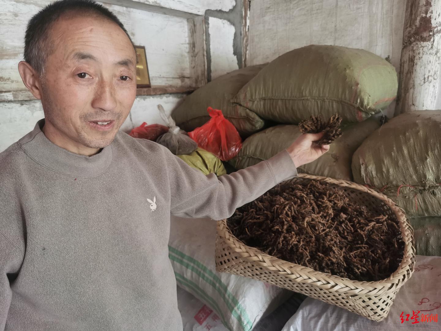 熊永德家中存放的黄连