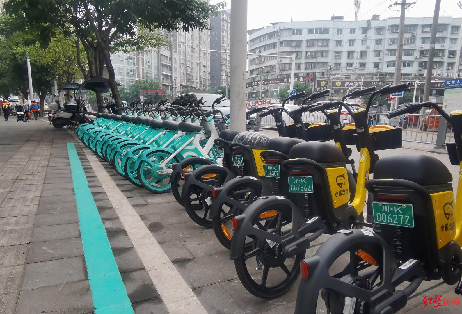 ▲共享电单车停放在绿色停车框内