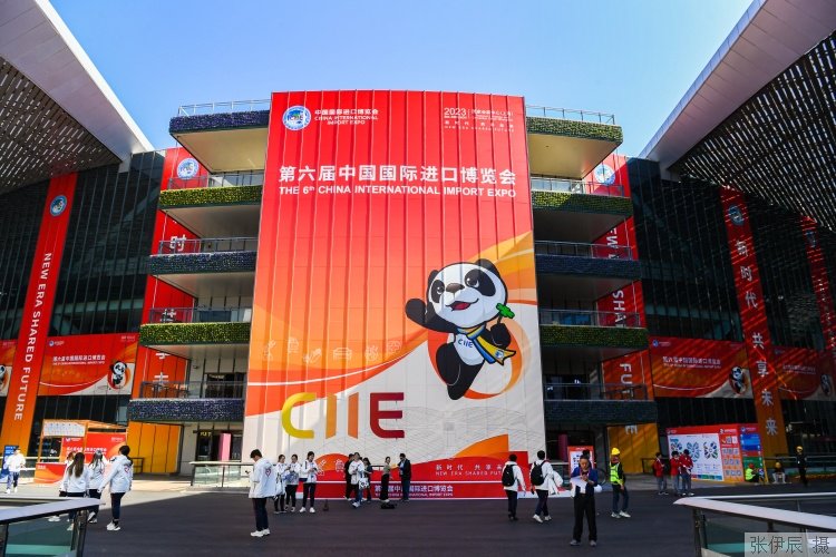 专家：进博会与长三角一体化发展的“双向奔赴”