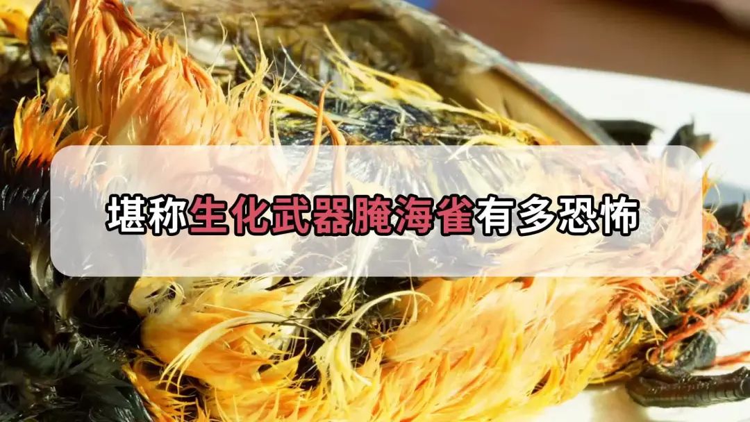 全球十大最难吃食物,吃过三种算你赢!_新浪财经_新浪网