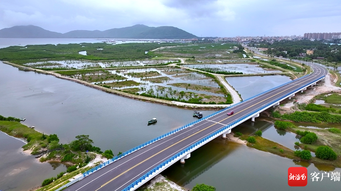 海南环岛旅游公路陵水段:修路不扰鸟群 新增观赏"鸟浪"景观区