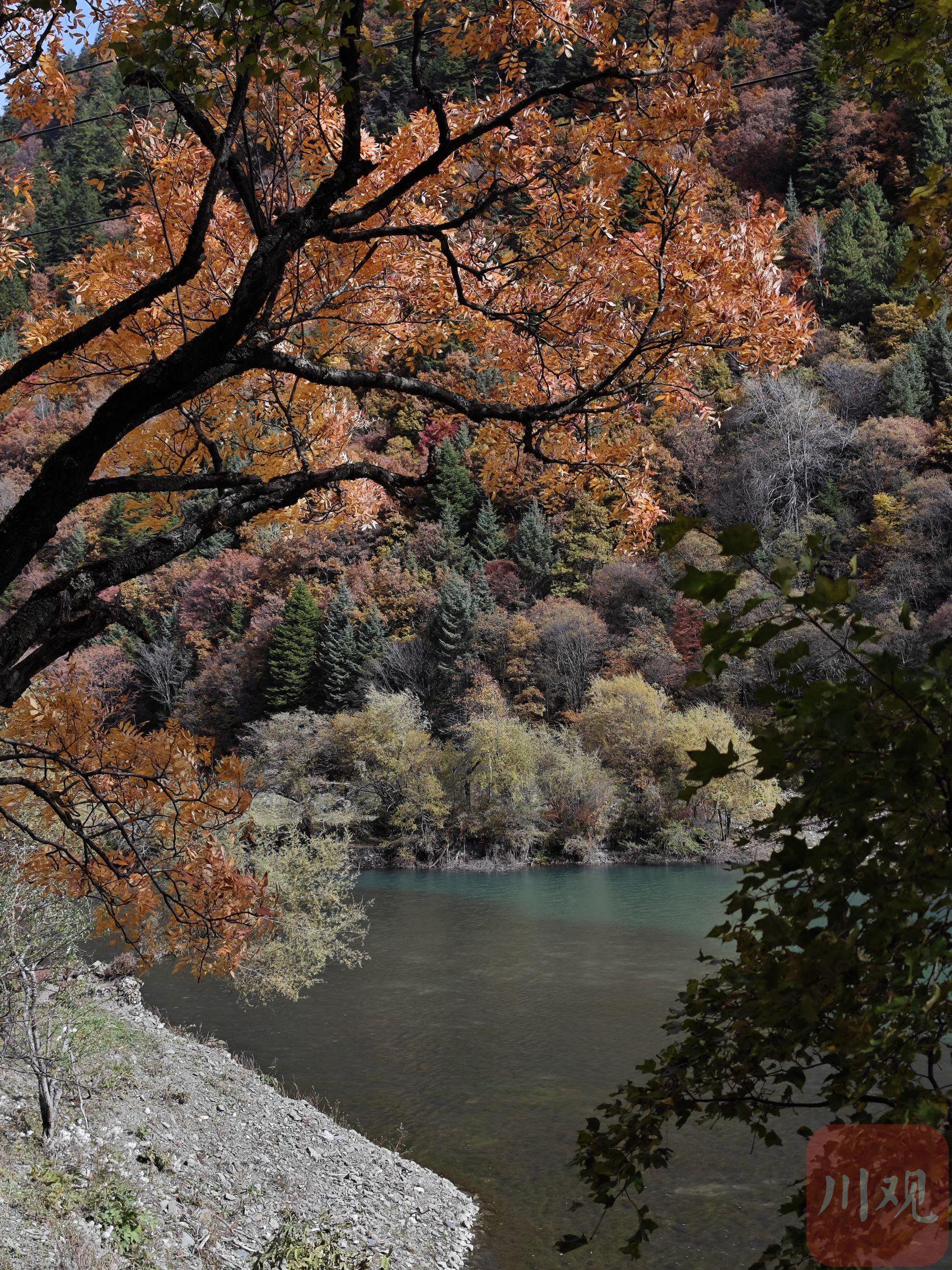 跟随秋天的脚步 走进卡龙沟彩林世界