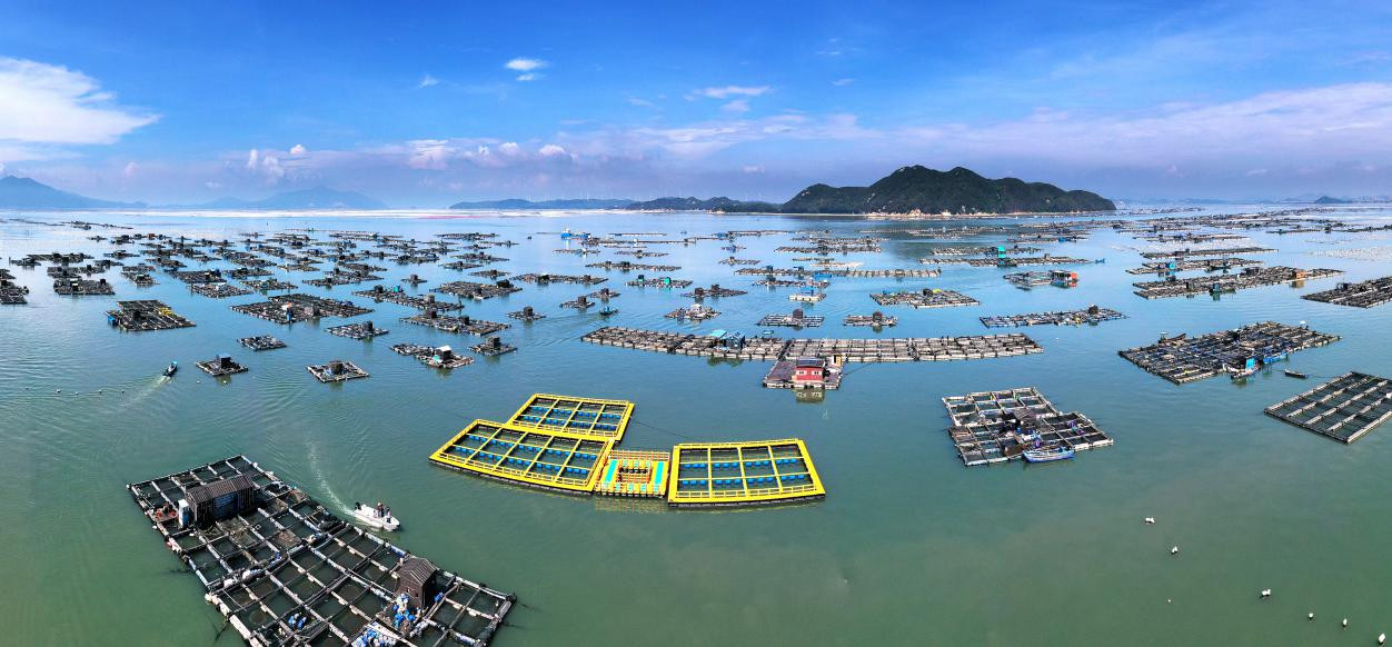 万佳水产新型网箱