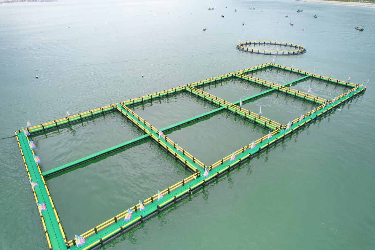 产经动态_央广网