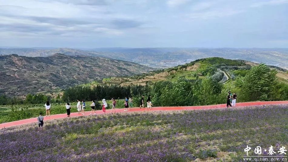 天水秦安以文化赋能激发乡村振兴新活力