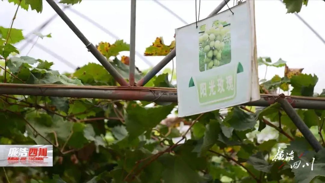 空军特色医学中心黄牛B超加急陪诊黄牛票贩子电话的简单介绍