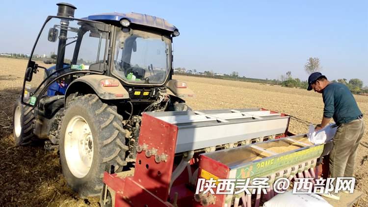 泾阳县桥底镇寨子沟村正在进行冬小麦播种