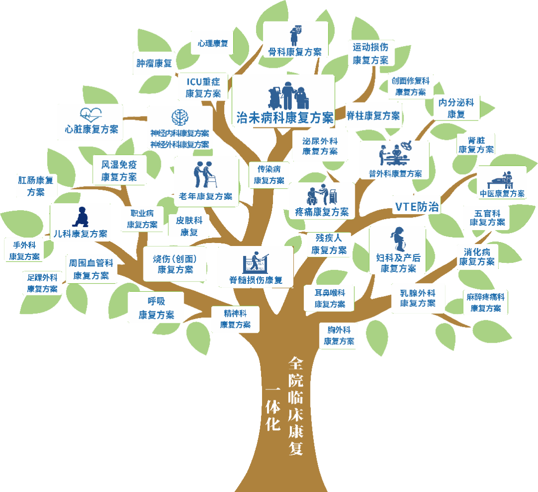 磁振热治疗仪怎么用【县级医院康复方略】治未病科康复建设方案_https://www.jmylbn.com_新闻资讯_第1张