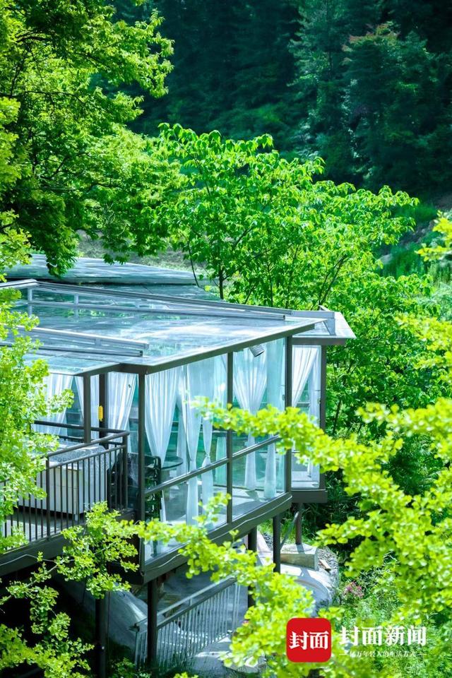 从"活"起来到"火"起来 广元曾家山民宿有诗意也有远方|民宿_新浪财经