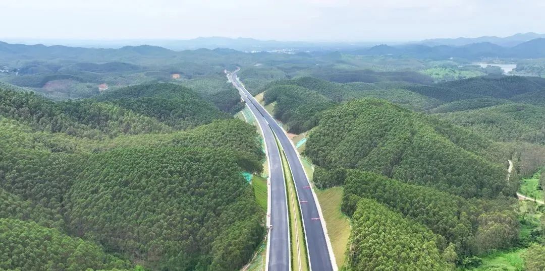 南湛高速公路全程图图片