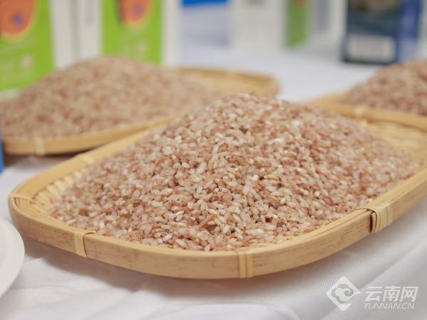 "元阳梯田红米"品牌系列产品推介会在昆明举行|云南省_新浪财经_新浪