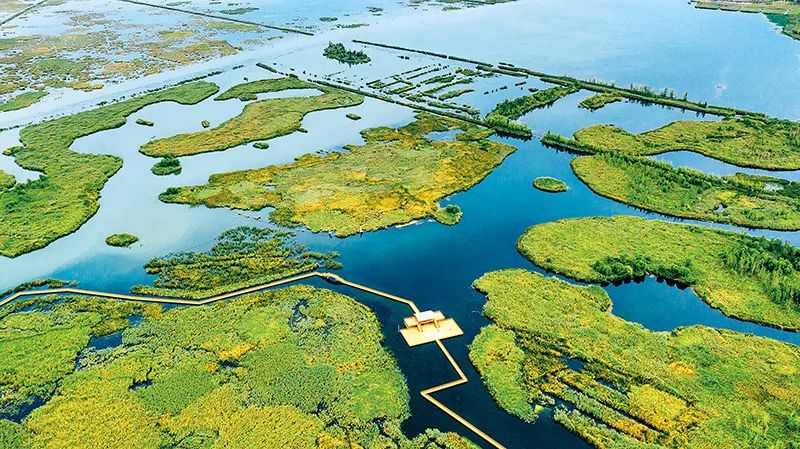 生态雄安里的"绣花功夫"|白洋淀_新浪财经_新浪网