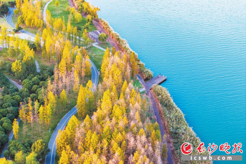 收集长沙的秋天