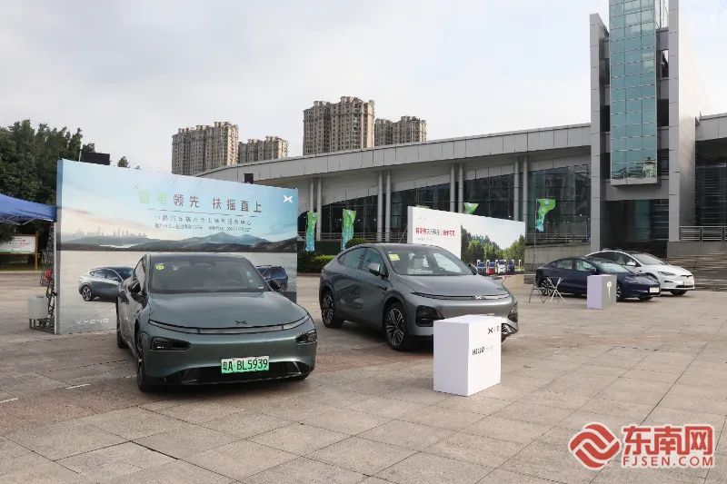 展示的新能源汽车。东南网记者 叶伏国 摄