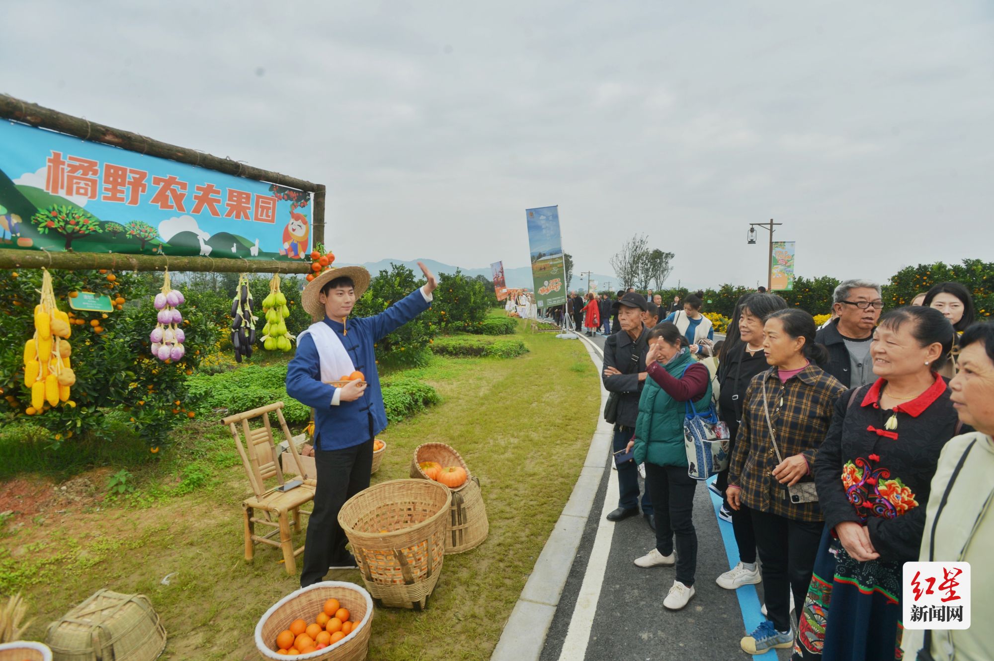 小柑橘大产业成都金堂持续拓宽甜蜜产业链中国橘乡天府城市果园正式