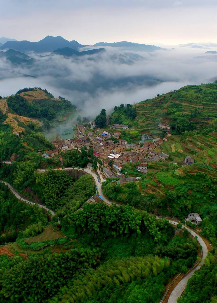 松阳县平田村 中共松阳县委宣传部供图