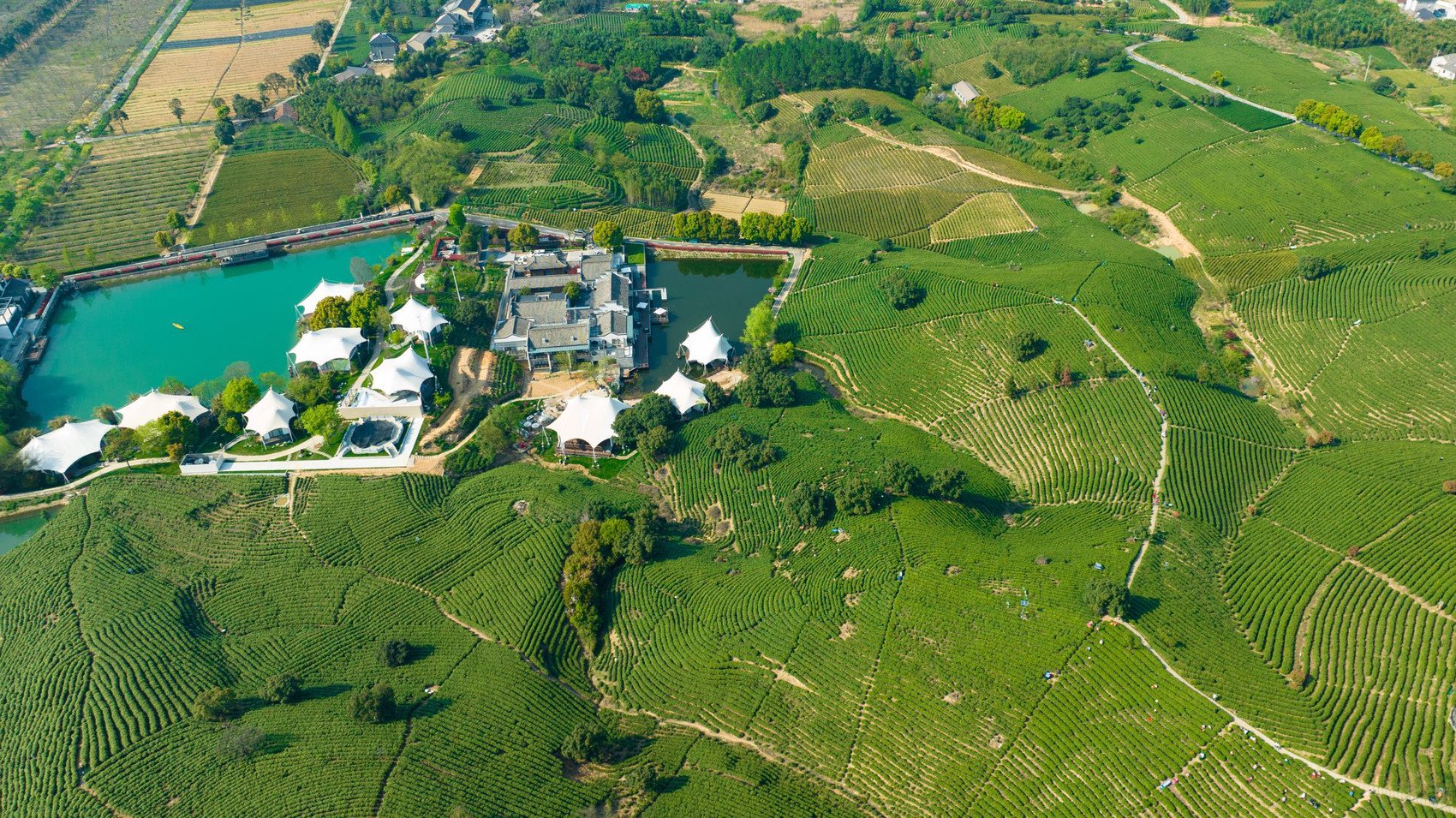 安吉县黄杜村 中共安吉县委宣传部供图