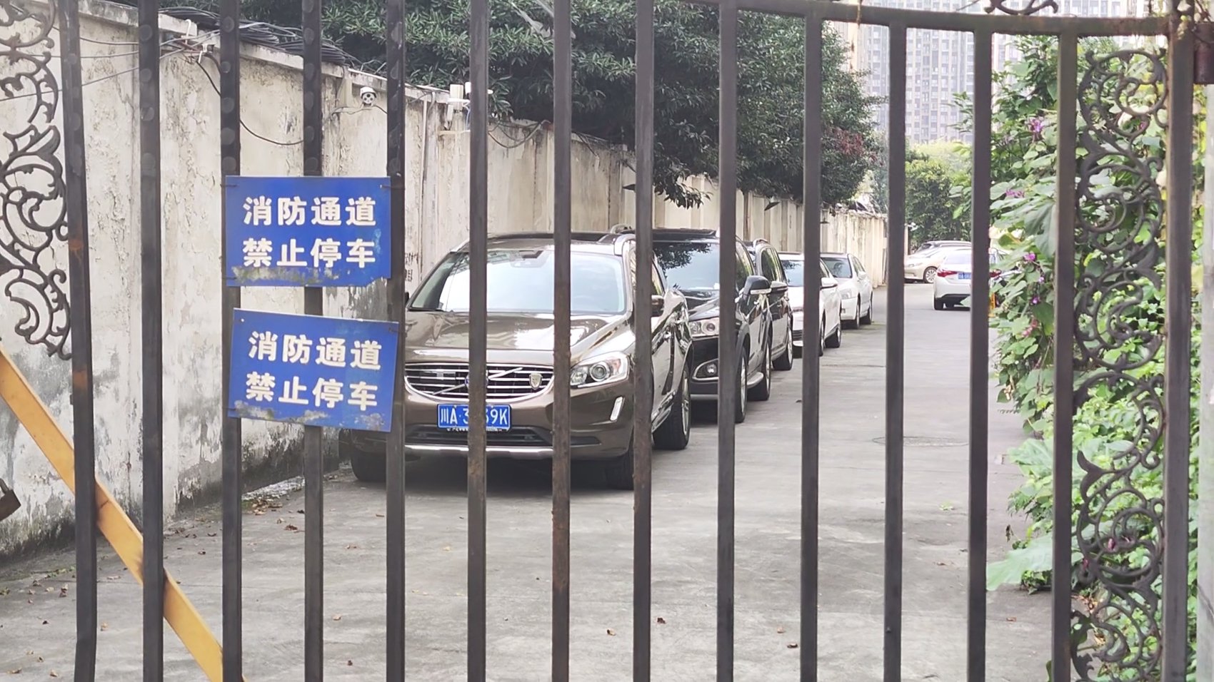 11月4日,记者在皇冠花园看到,在划着消防通道,禁止停车的黄线上,停着