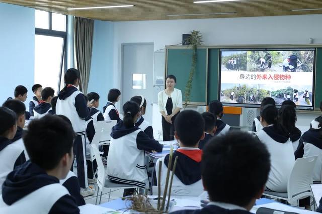 上海市虹桥中学教师张南南大宁国际小学西校数学教师陈力辰在"三角形
