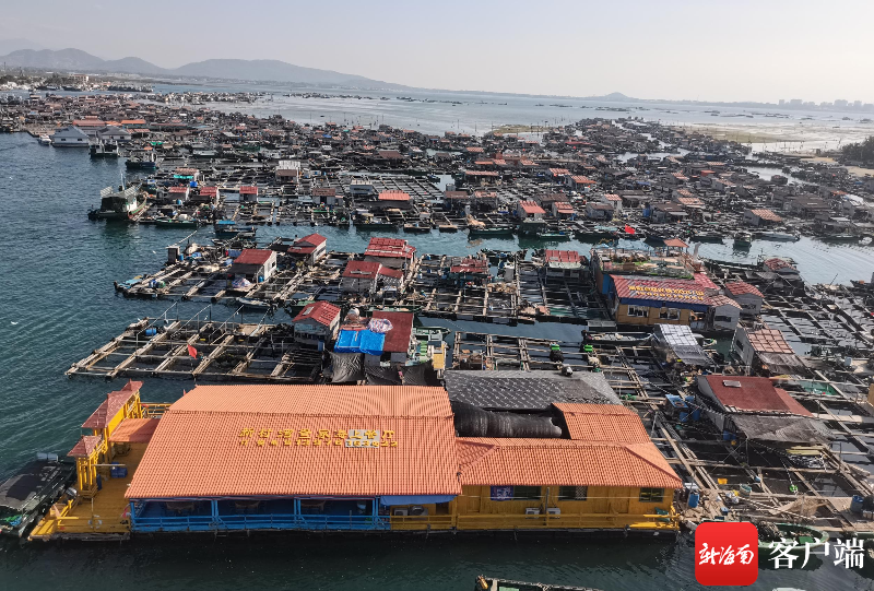 陵水新村港海上疍家渔排.记者 利声富 摄