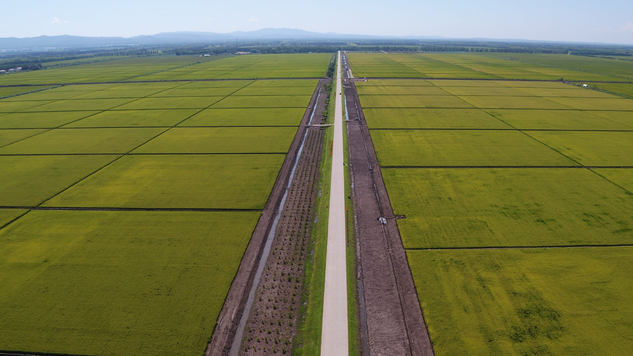 建设高标准农田