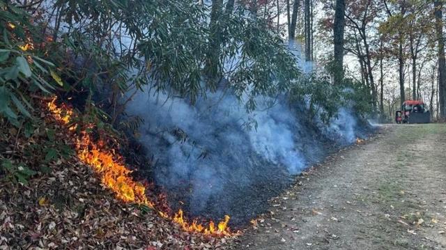 多处野火肆虐 美国北卡罗来纳州进入紧急状态|北卡罗来纳州_新浪财经