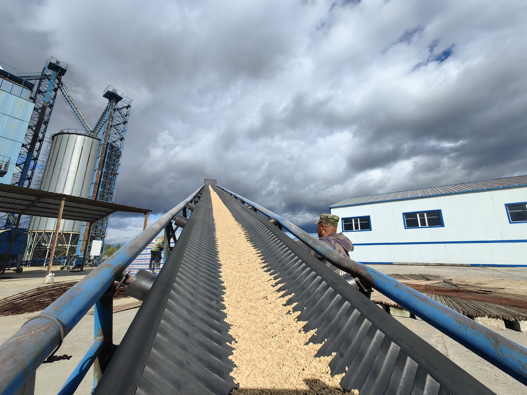 良种繁育加工基地,挖掘优质种源,繁育"龙粳31""龙垦2021"等优质品种