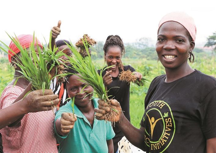 2023年9月19日,当地员工在尼日利亚阿布贾的中国援尼日利亚农业技术