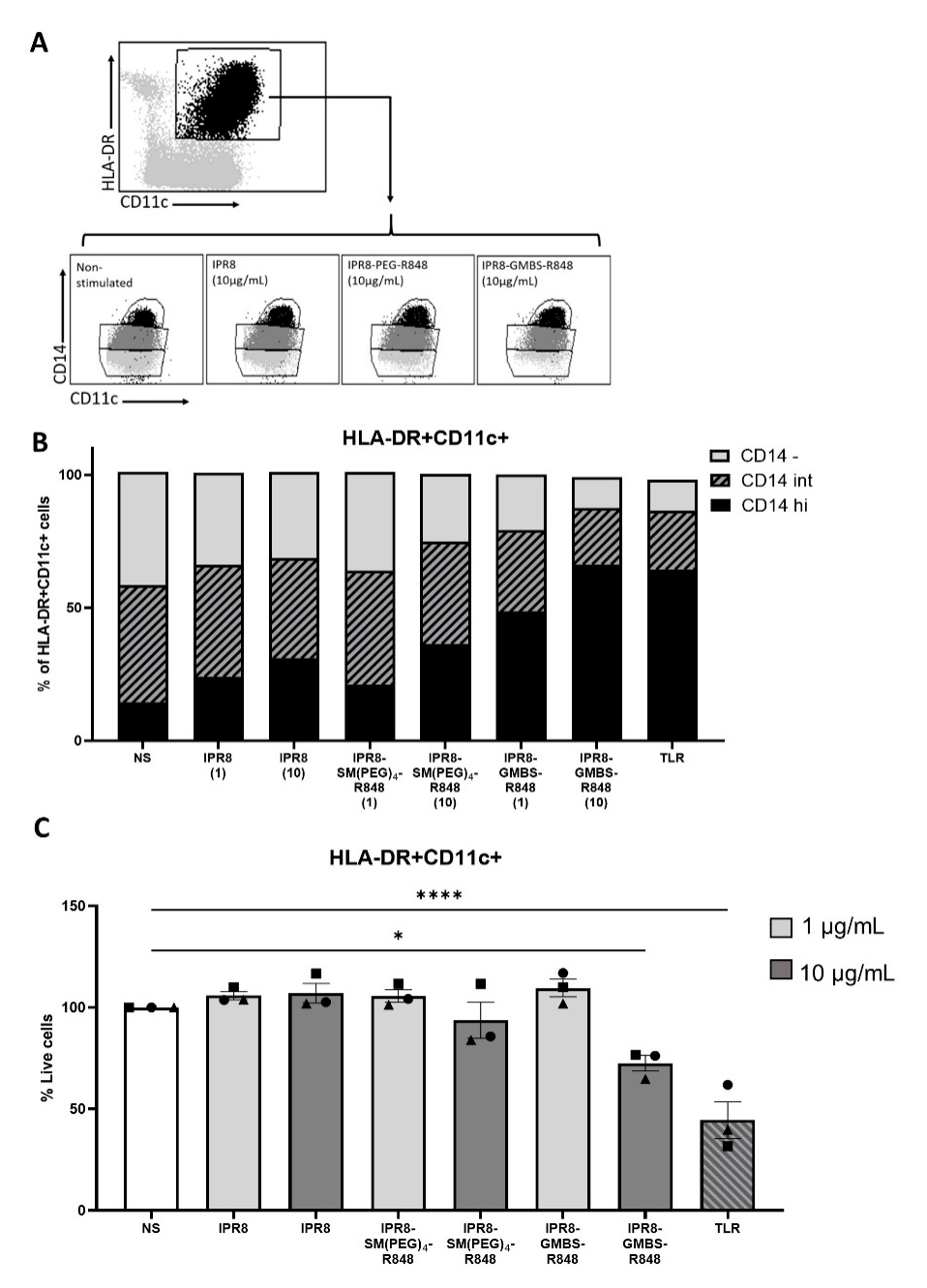 为什么采用4个血凝单位解析R848结合流感疫苗的偶联剂依赖效应：对APC激活及体内免疫原性，存在哪些影响？_https://www.jmylbn.com_新闻资讯_第8张
