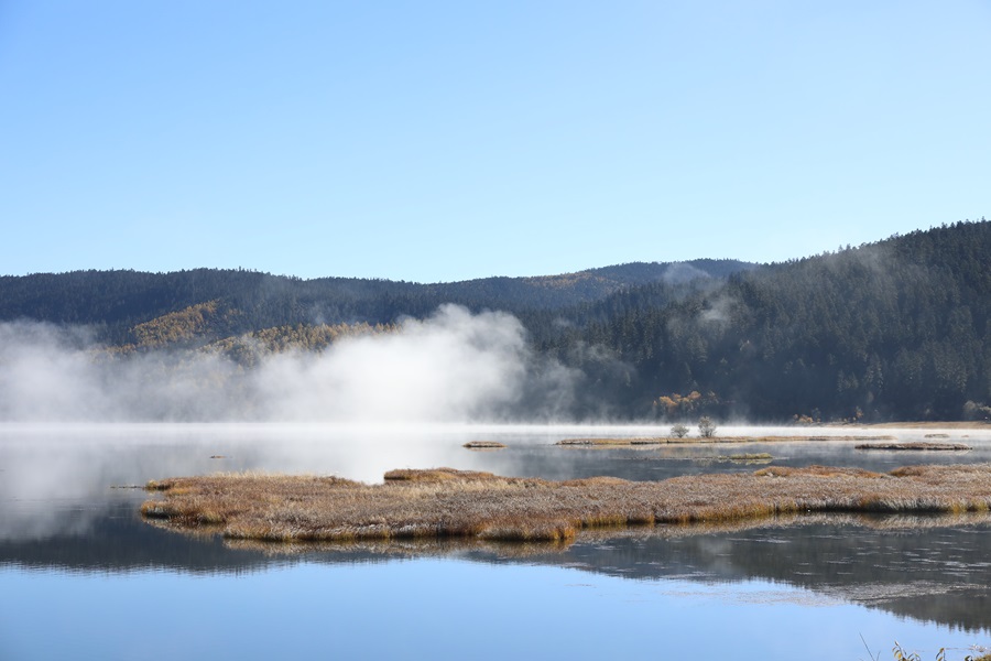 云南迪庆普达措景区风光旖旎美如画_新浪财经_新浪网