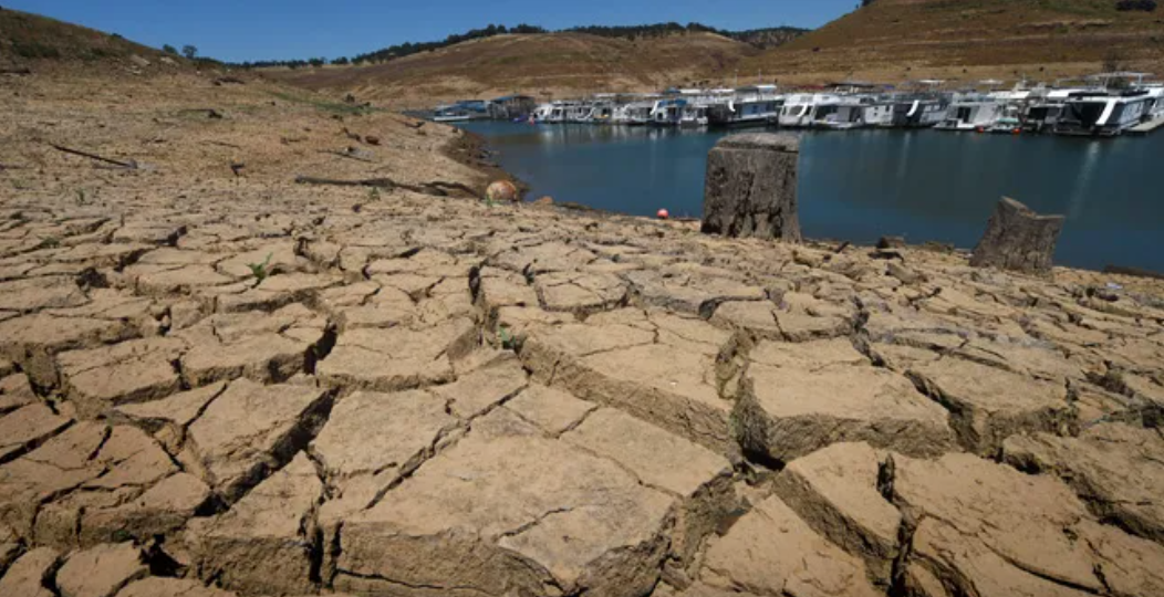 地球史上最热一年	？美国西部遇1200年最严重干旱，牧场变沙地牛肉价格飙升