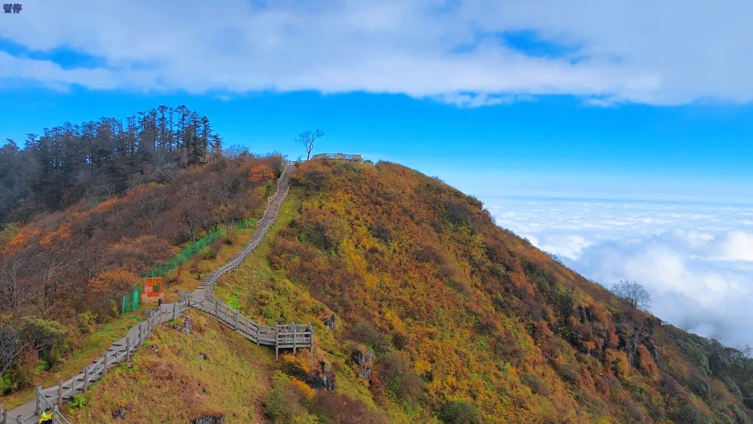 图源:西岭雪山景区