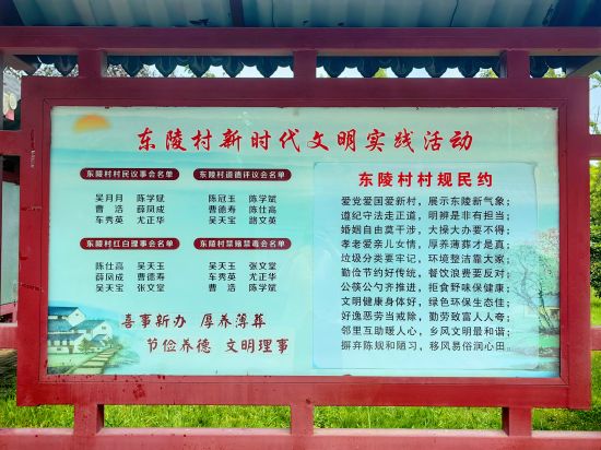 东陵村"一约四会"宣传栏