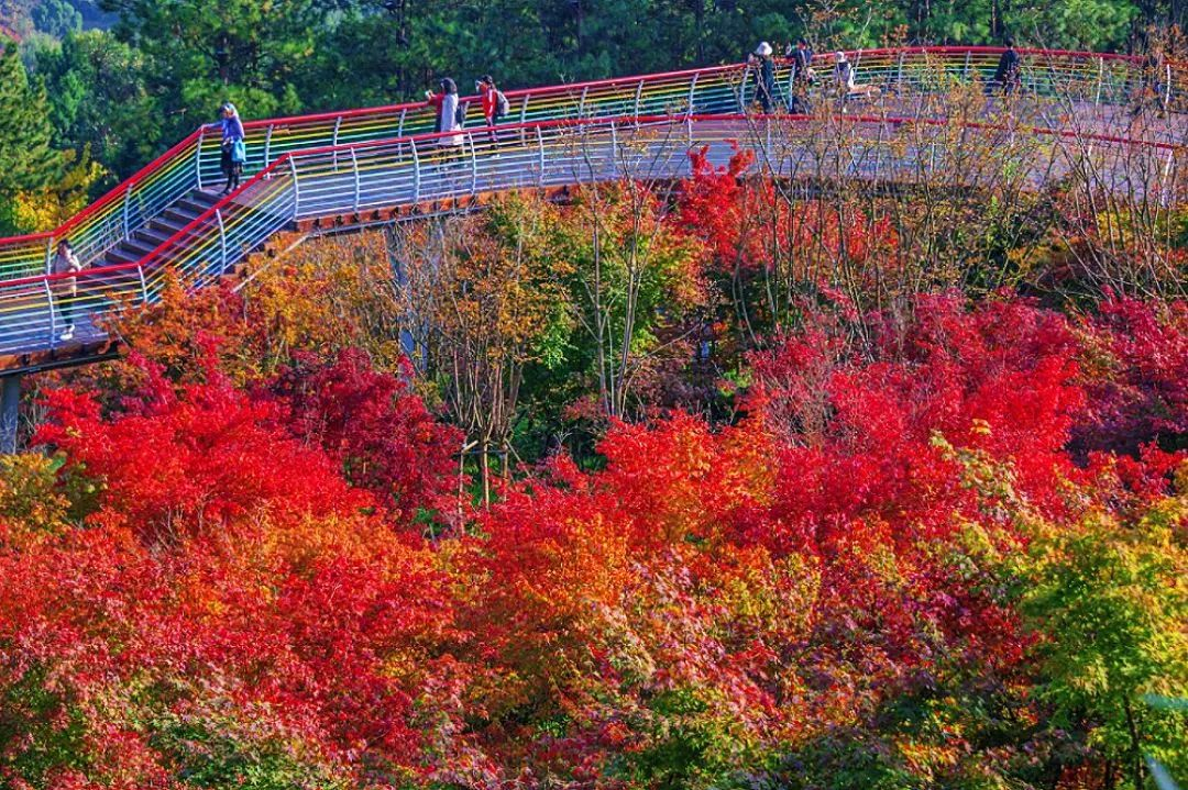 据景区介绍,丹景台的赏枫点主要有3处——①是在