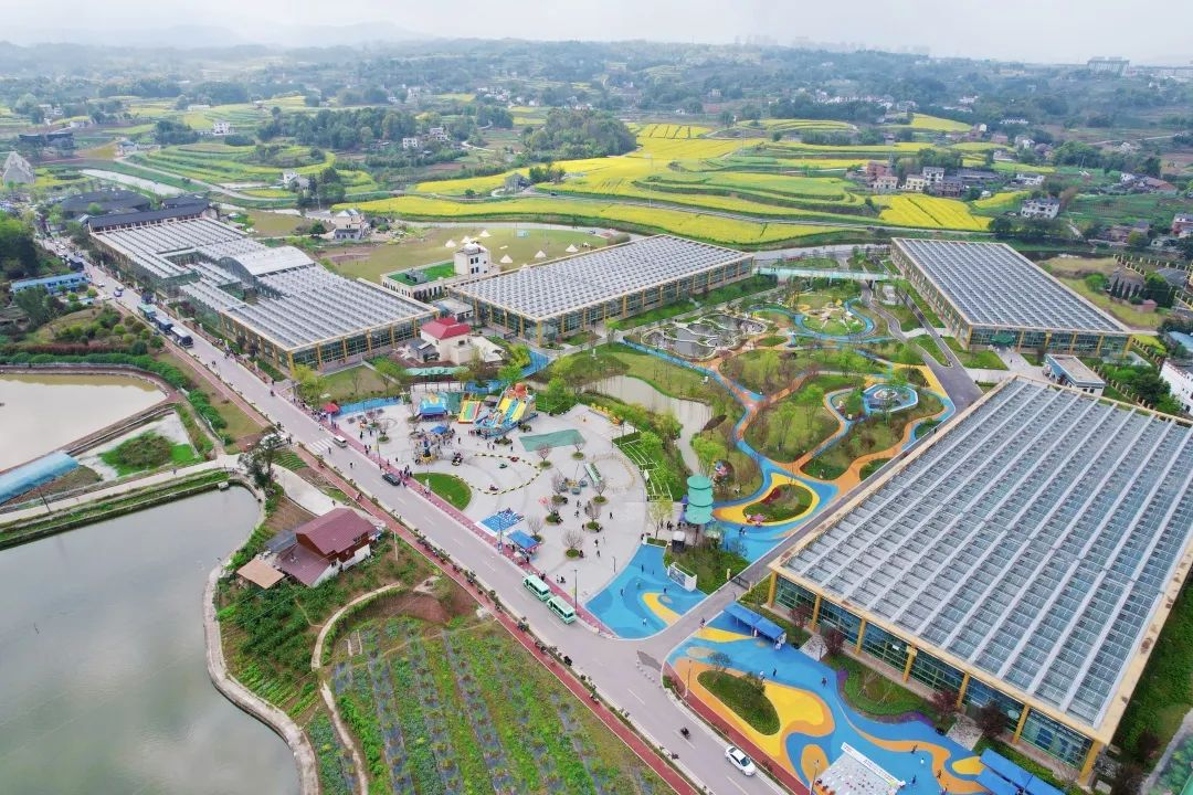 产业新格局:"两主四特"产业新定位,重庆江津工业迈开新征程_新浪财经