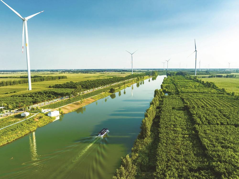 邱县次第花开的远方