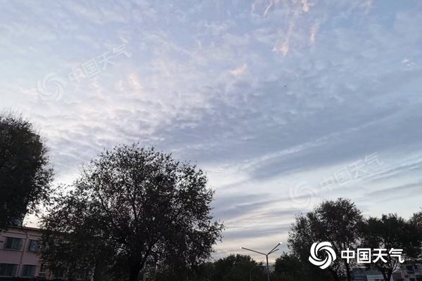 北京周末两天天气晴冷 最高气温仅6℃至7℃|北京市_新浪财经_新浪网