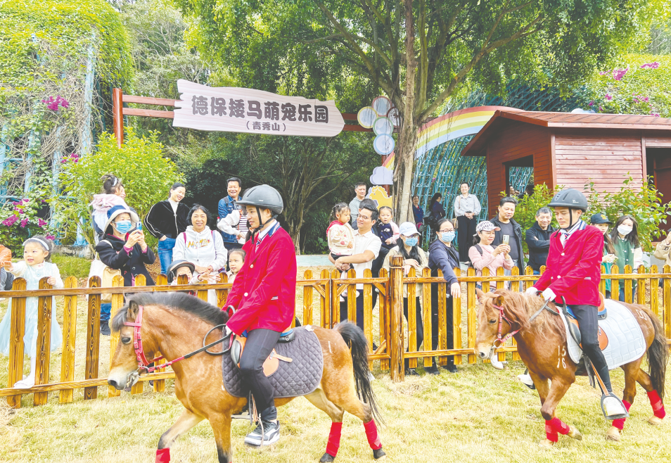 青秀山风景区德保矮马萌宠乐园开园,吸引不少游客前来参观体验.