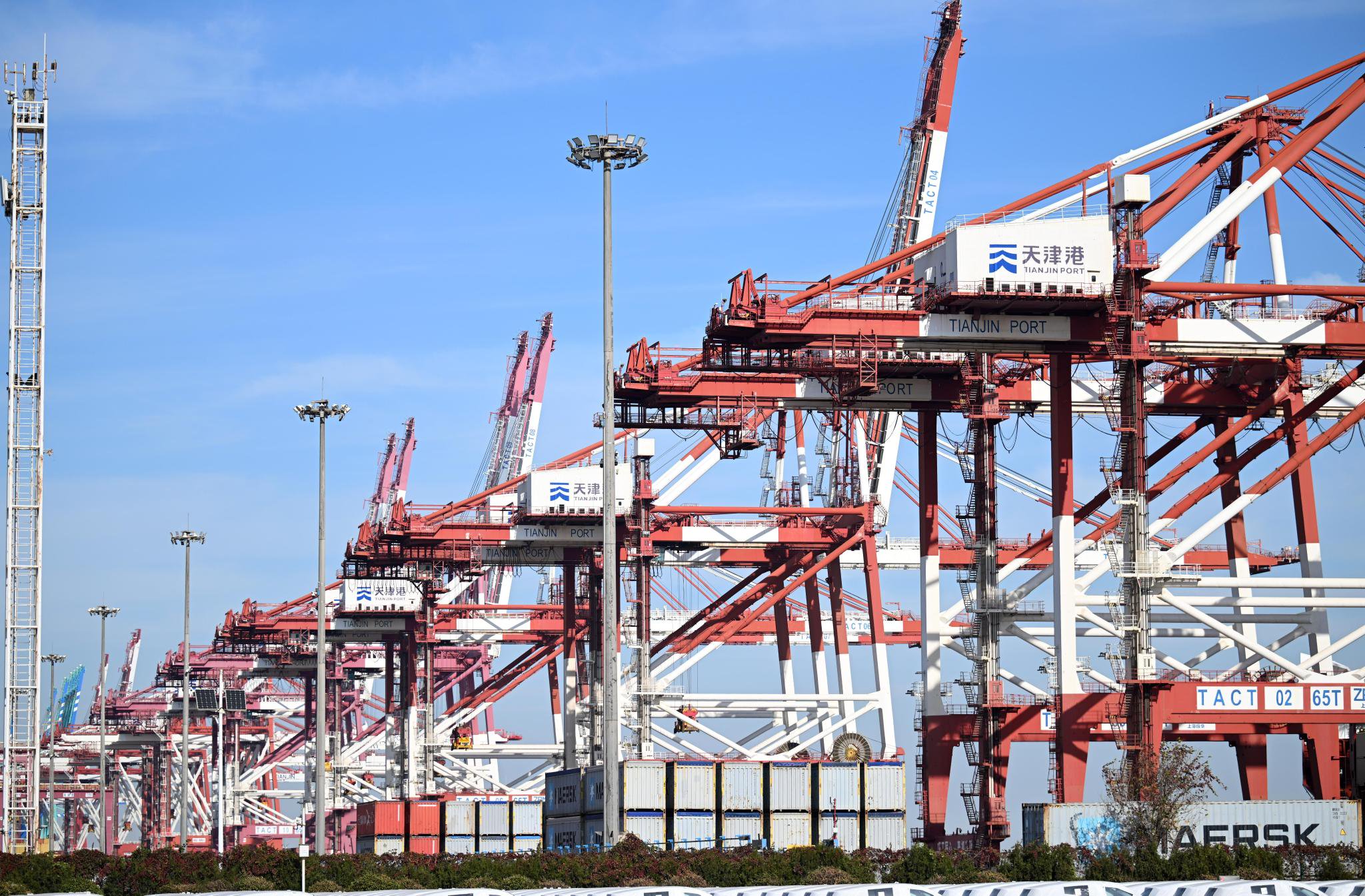 这是11月13日拍摄的天津港欧亚国际集装箱码头一景.