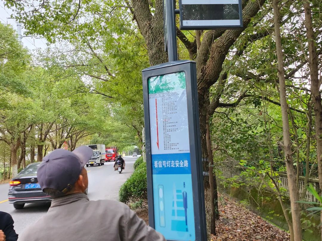 11月10日下午,居民在申隆二村站点观看刚刚更新后的南燎专线走向图